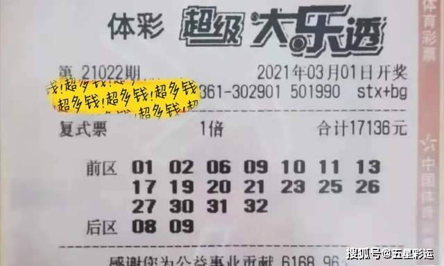 一肖三碼王中王，揭秘背后的秘密與策略，揭秘一肖三碼王中王的秘密與策略