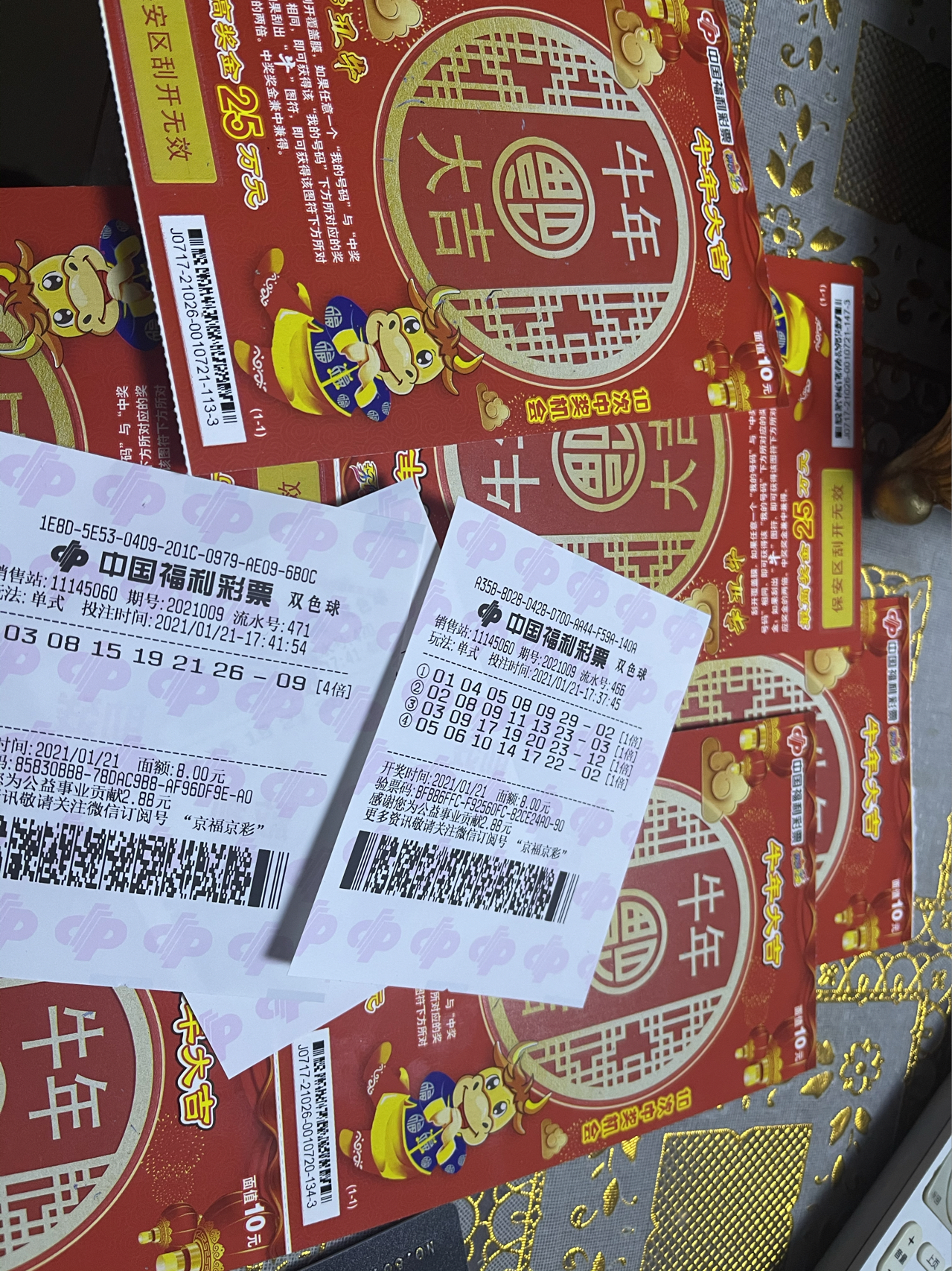 香巷平特一肖王中王，揭秘背后的秘密與SEO策略，揭秘香巷平特一肖王中王的秘密與SEO策略