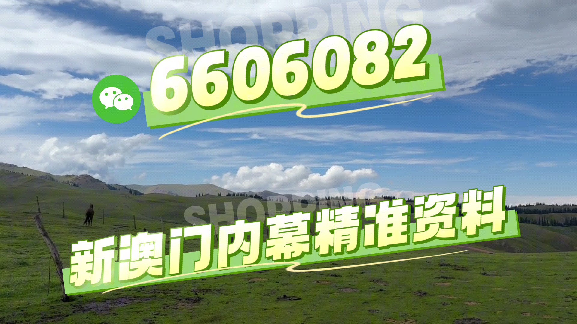 澳門今晚必開一肖一特，深度解析與預(yù)測，澳門今晚生肖特碼深度解析與預(yù)測，一肖一特必開趨勢探討