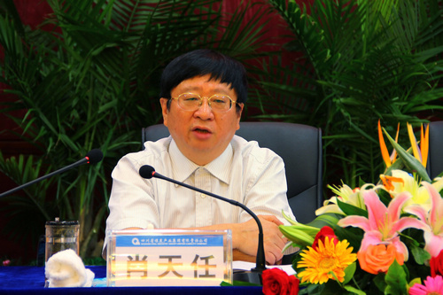 王中王資科一肖中持天，深度解析與SEO優(yōu)化策略，王中王資科一肖中持天深度解析與SEO優(yōu)化策略探討