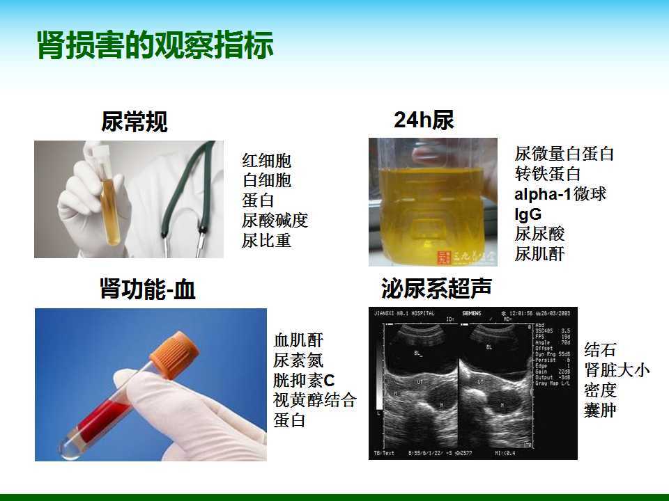 尿酸水平升高與腎臟健康，尿酸460是否意味著腎臟已經(jīng)受損？，尿酸水平升高與腎臟健康關(guān)系解析，尿酸460是否預(yù)示腎臟受損？