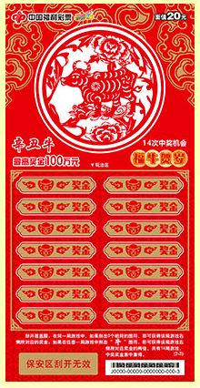 揭秘2020王中王平特一肖的神秘面紗，揭秘王中王平特一肖，神秘面紗下的真相