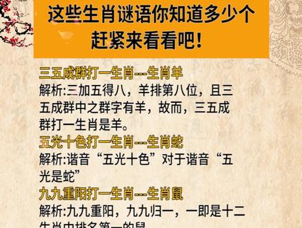 謎語王中王打一生肖——揭秘背后的神秘故事與生肖之謎，揭秘生肖之謎，謎語王中王背后的神秘故事與生肖解密