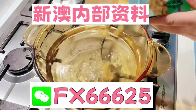 新澳一碼料，深度解析與SEO優(yōu)化策略，新澳一碼料深度解析與SEO優(yōu)化策略指南