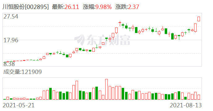 川恒股份股票，深度解析與發(fā)展前景展望，川恒股份股票深度解析與未來展望