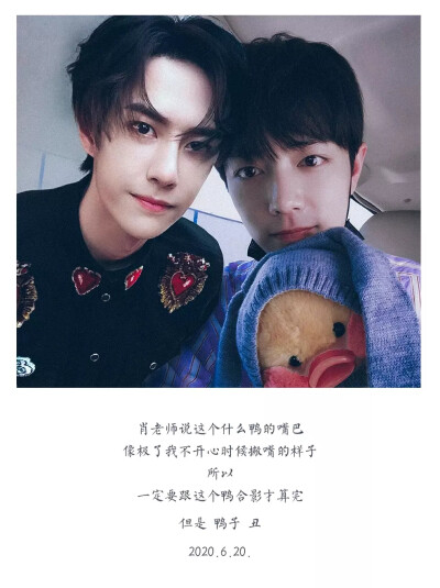 王中王一肖資料一肖王，深度解析與SEO優(yōu)化文章，王中王一肖資料深度解析與SEO優(yōu)化策略探討