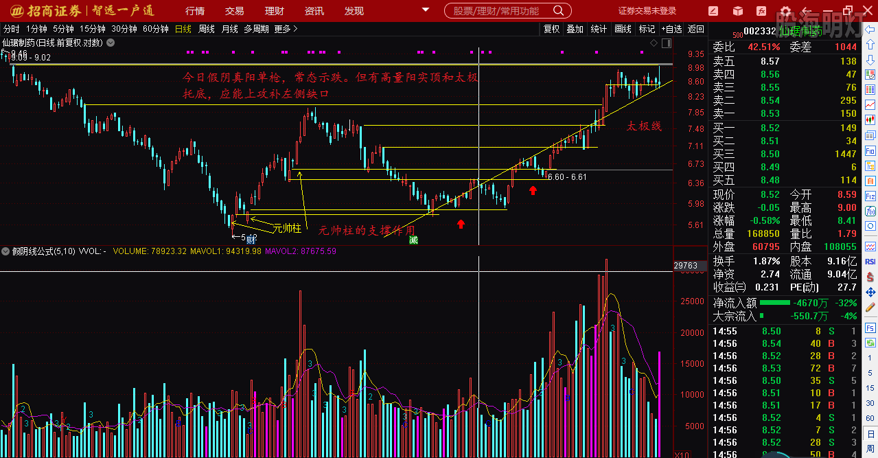 仙琚制藥股票（代碼，002332）深度解析，仙琚制藥股票深度解析（代碼，002332）