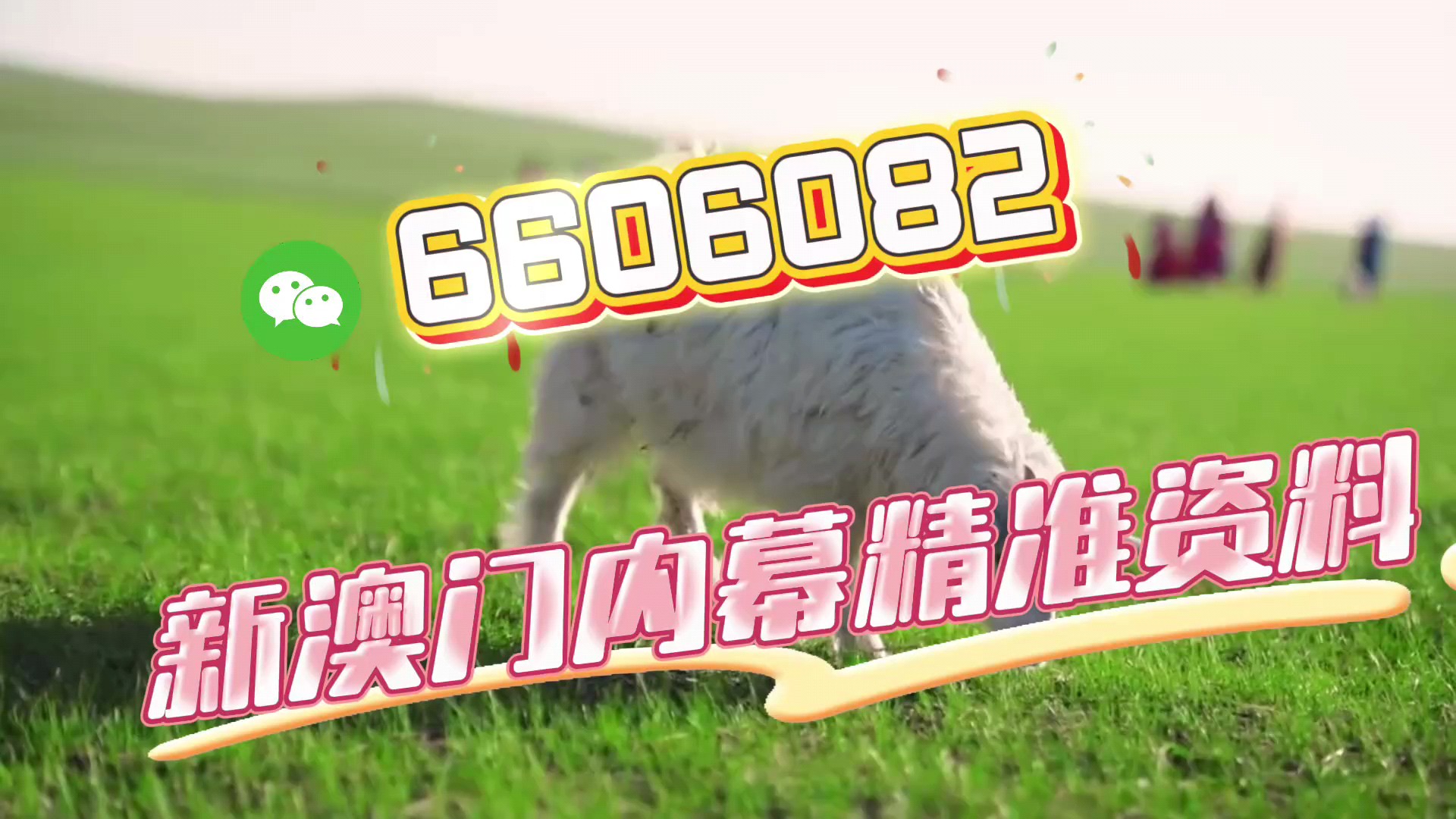 一肖中特免費資料選一，揭秘彩票秘密，帶你走向成功之路，揭秘彩票秘密，一肖中特資料助你走向成功之路