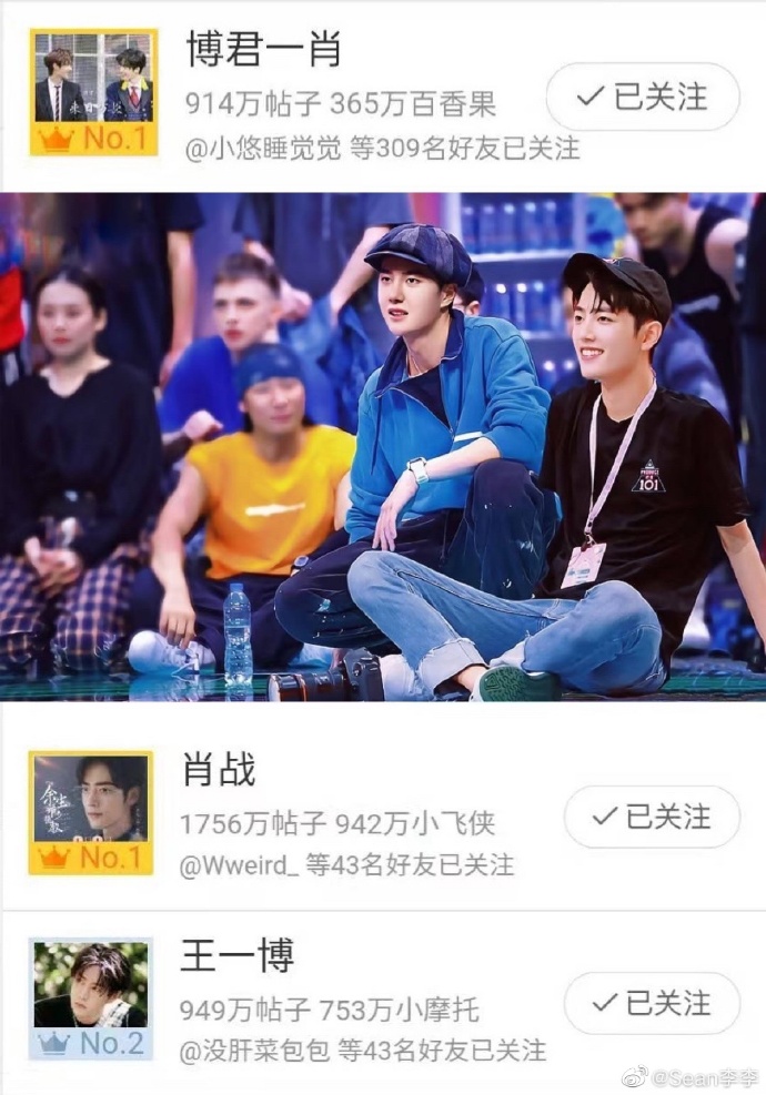 王中王一肖中特資料詳解，王中王一肖中特資料深度解析