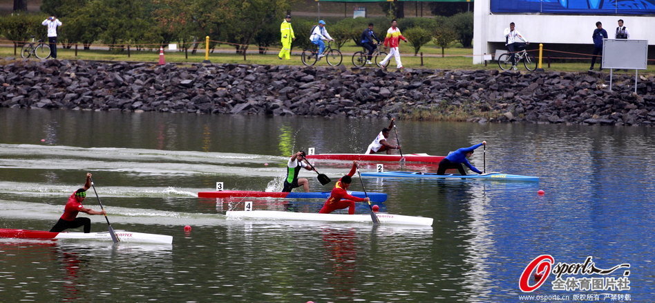 王中王一肖一馬期期中特，深度解析與SEO優(yōu)化策略，王中王一肖一馬期期中特深度解析與SEO優(yōu)化策略指南
